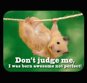 Don't Judge Me I Was Born Awesome Not Perfect Fridge Magnet